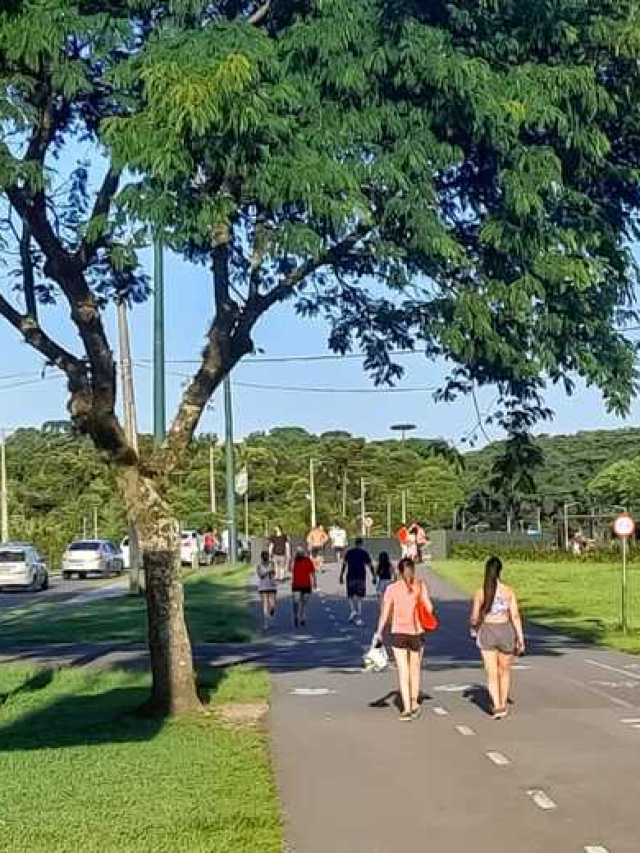 Previsão do tempo para Curitiba domingo Temporal