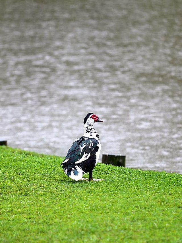 Previsão do tempo para Curitiba tem segunda fresca mas semana quente