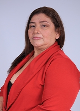 PROFESSORA ELIZETE