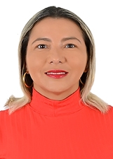 FATINHA DA DENGUE