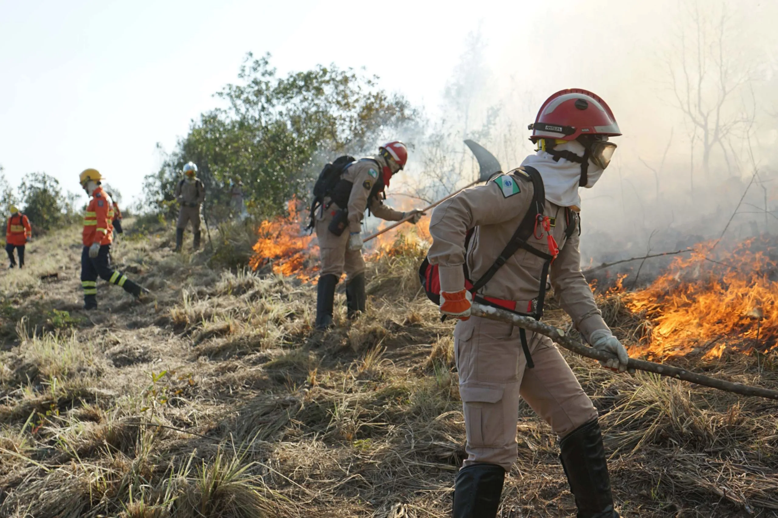Paraná em chamas! Bombeiros apagam quase 10 mil incêndios em seis meses