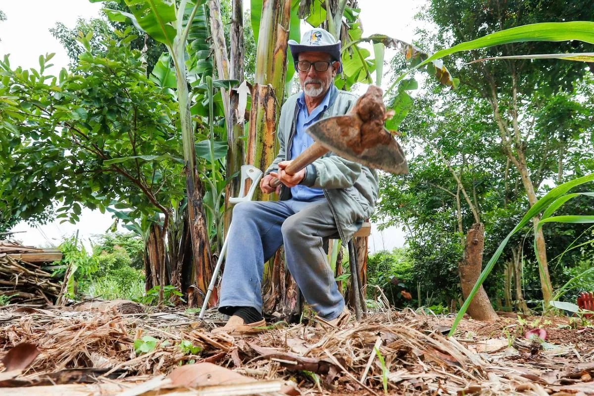 Idoso transforma terreno em bairro de Curitiba numa horta modelo: "Agora me parabenizam"