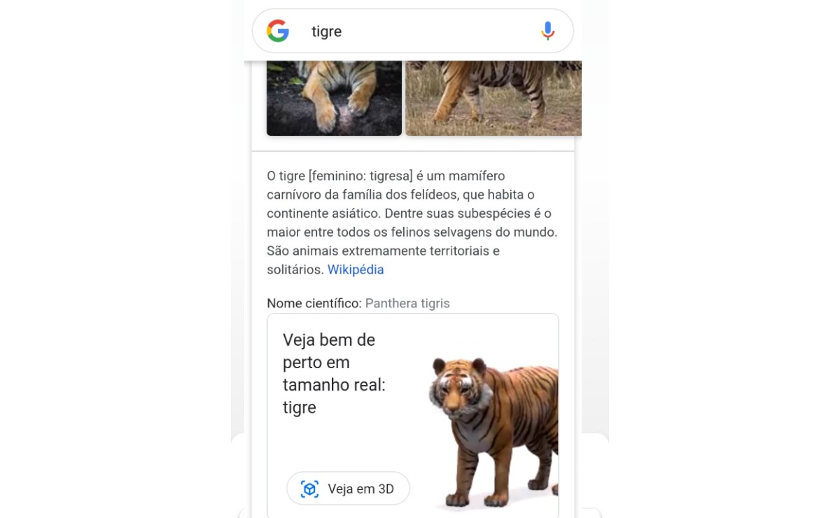 Saiba como ver diversos animais em 3D no Google pelo celular