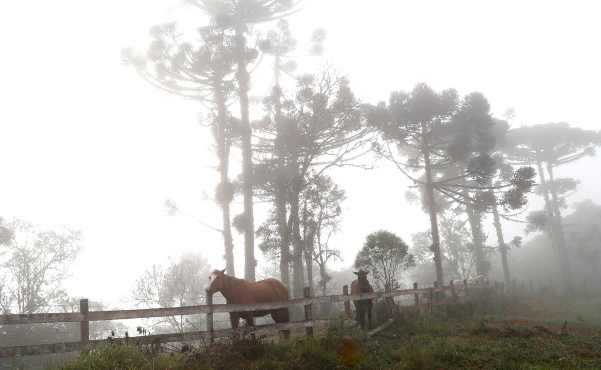 frio paraná