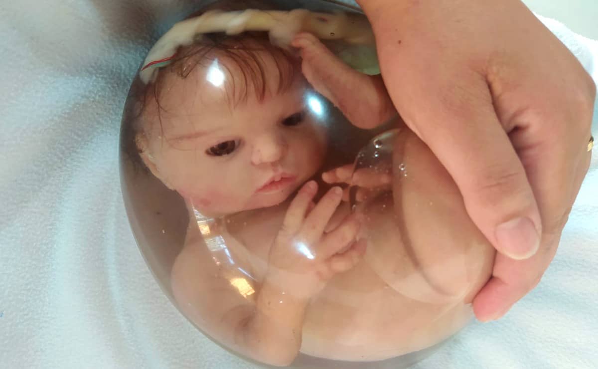 Bebês reborn têm parto e até certidão de nascimento em Curitiba