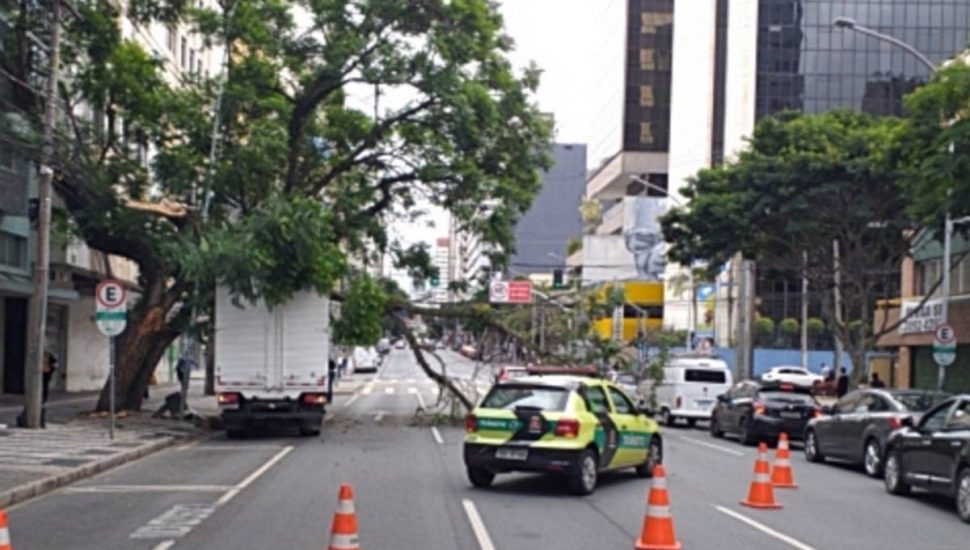 Árvore atingiu caminhão que estava na Avenida.