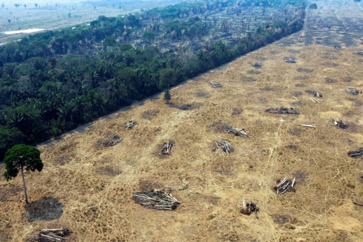 Desmatamento da Amazônia na gestão de Bolsonaro atinge níveis alarmantes, alerta o Ipam.