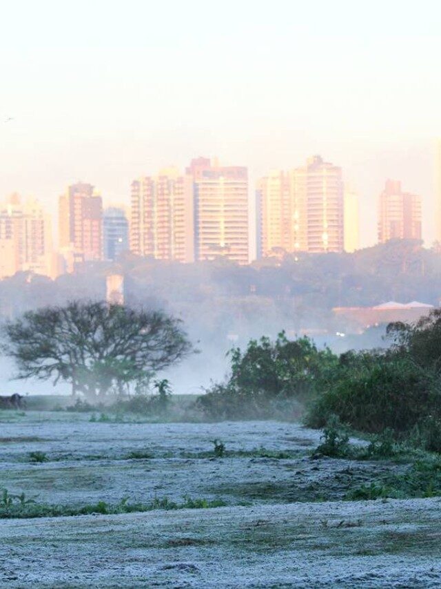 Geada em Curitiba: veja fotos do fenômeno desta sexta-feira (20)