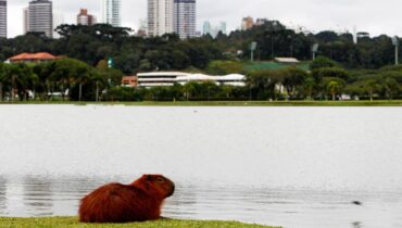 Previsão do tempo pra Curitiba tem frio e chuva neste final de semana.