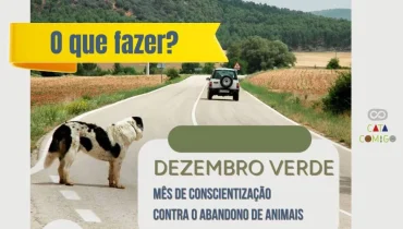 Dezembro verde: mês de conscientização contra o abandono de animais