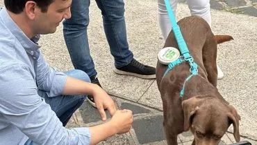 O que a Causa Animal de Curitiba pode esperar da gestão Eduardo Pimentel 