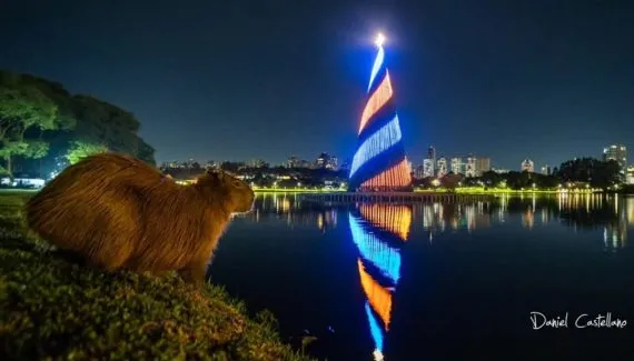 Vejas as imagens mais bonitas do Natal de Curitiba em 2024