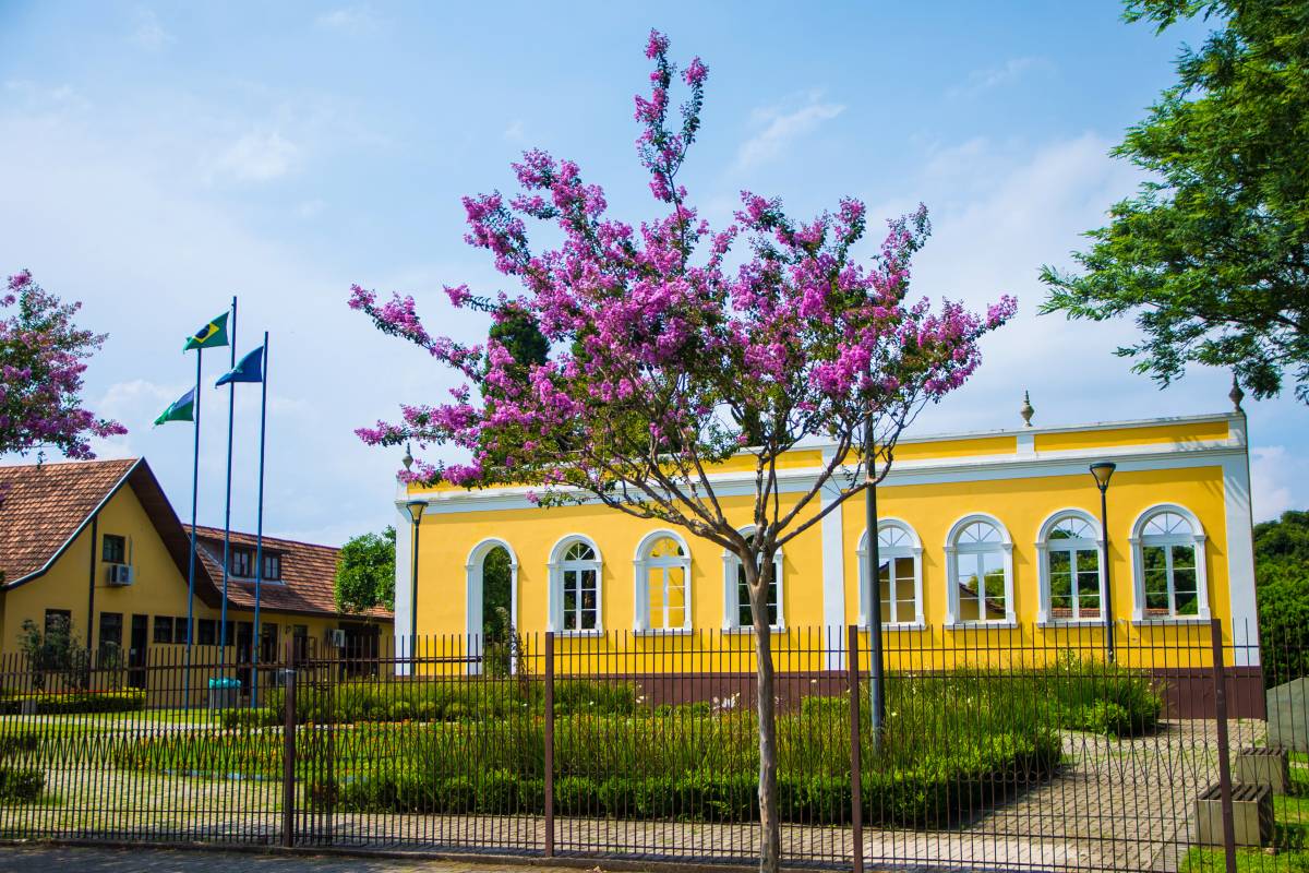 Imagem mostra a fachada da prefeitura de São José dos Pinhais