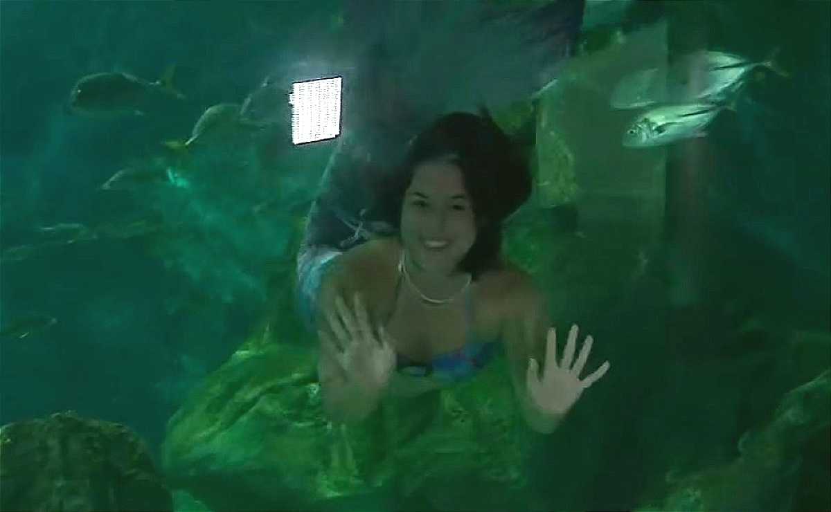 Sereia de Paranagua recebe visitas no aquário de paranagua