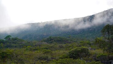 o que significa sonhar com neblina