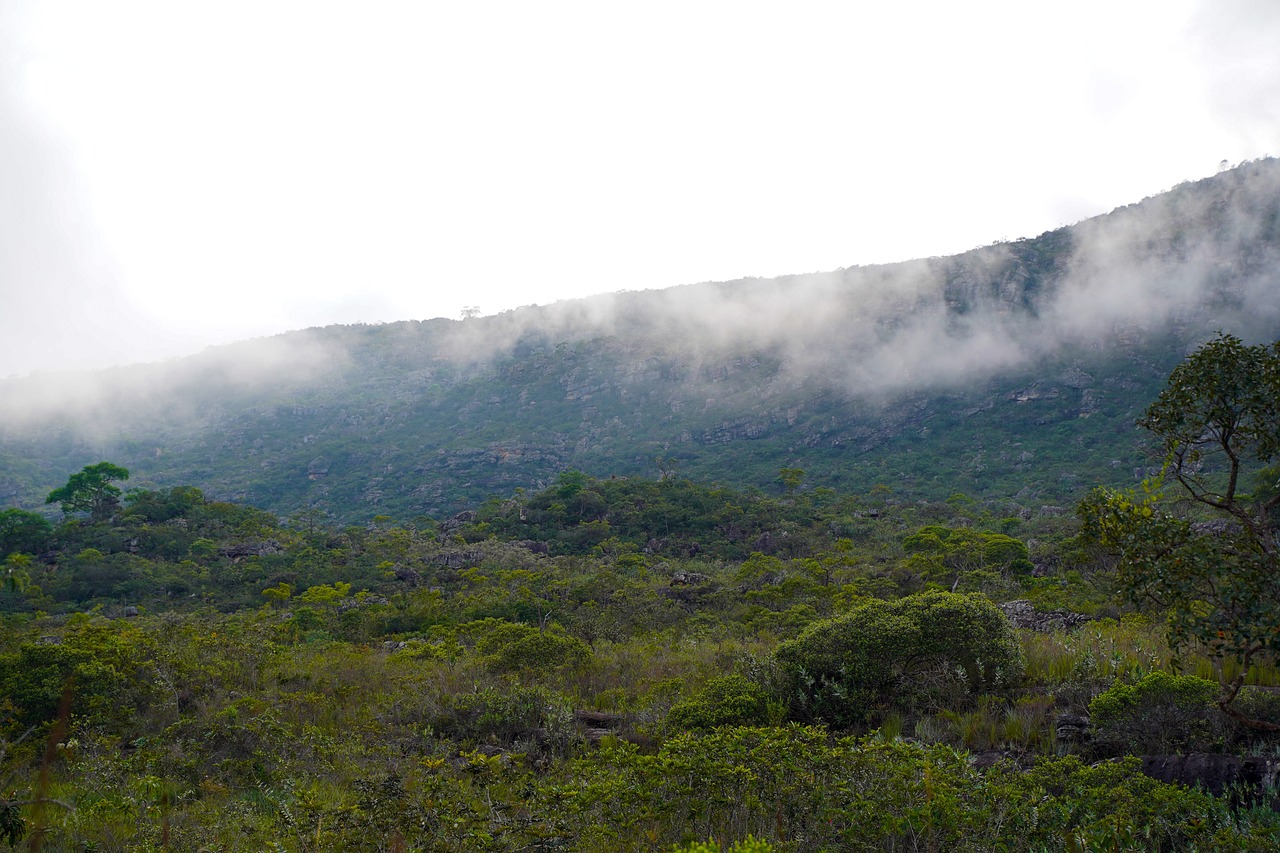 o que significa sonhar com neblina