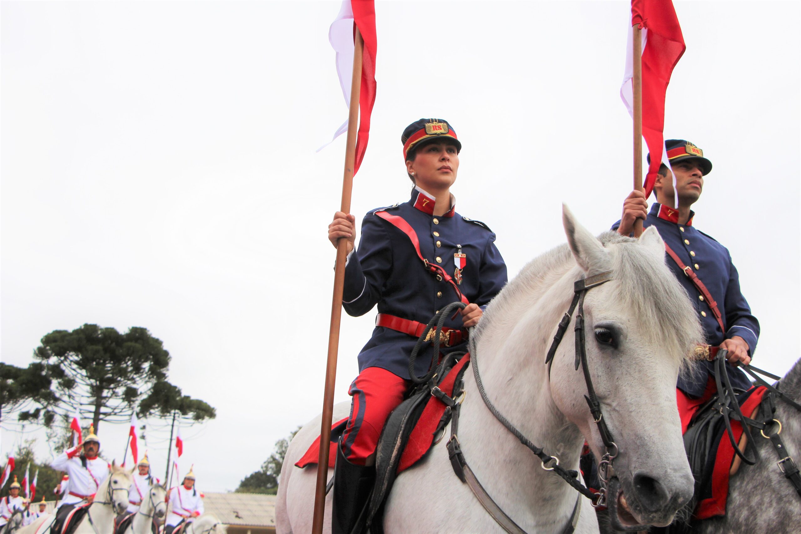 CAVALARIA  Conheça o Regimento de Polícia Montada da PMPR 