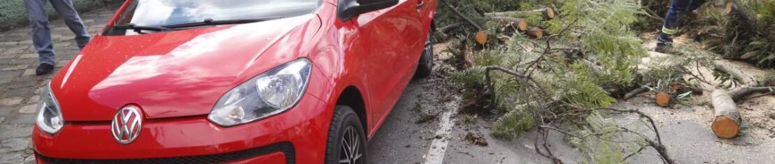 Imagem mostra o carro destruído após ser atingido por uma árvore em Curitiba.