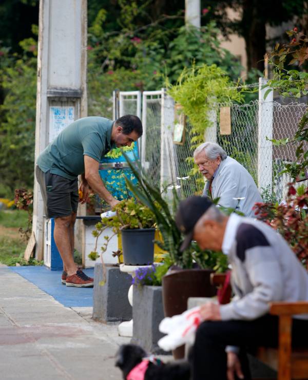 Conheça os Jardins Secretos em Curitiba