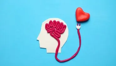 Veja como o coração e o cérebro influenciam a vida emocional