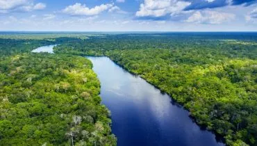 7 indícios de que a Amazônia pode ajudar a amenizar os problemas climáticos