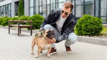 8 cuidados ao passear com o cachorro na rua