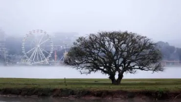 Neblina domina bairros de Curitiba neste começo de semana. E o frio?