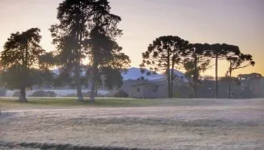 Sábado amanhece com geada e temperaturas negativas no Paraná