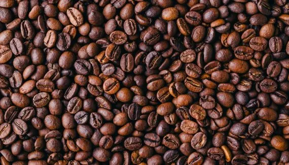 Pedras, galhos e até insetos: o que é encontrado em cafés de baixa qualidade