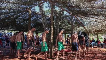Quilombolas, indígenas e ciganos terão bolsas para graduação no Paraná