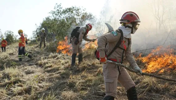 Paraná em chamas! Bombeiros apagam quase 10 mil incêndios em seis meses