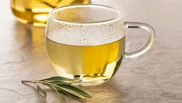 7 benefícios do chá de oliveira e como usá-lo com segurança