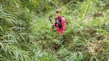 Bombeiros suspendem buscas na Serra do Mar após suspeita de queda de avião