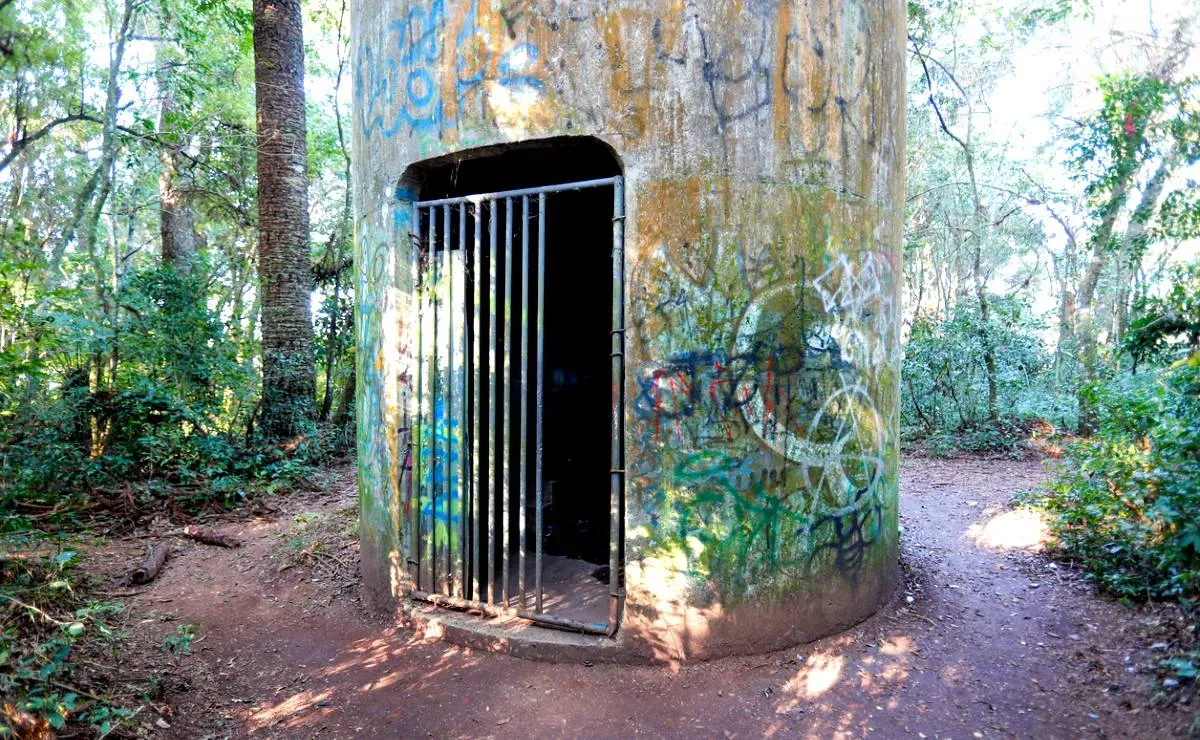 Imagem mostra detalhes de um mirante secreto no Parque Barigui, em Curitiba