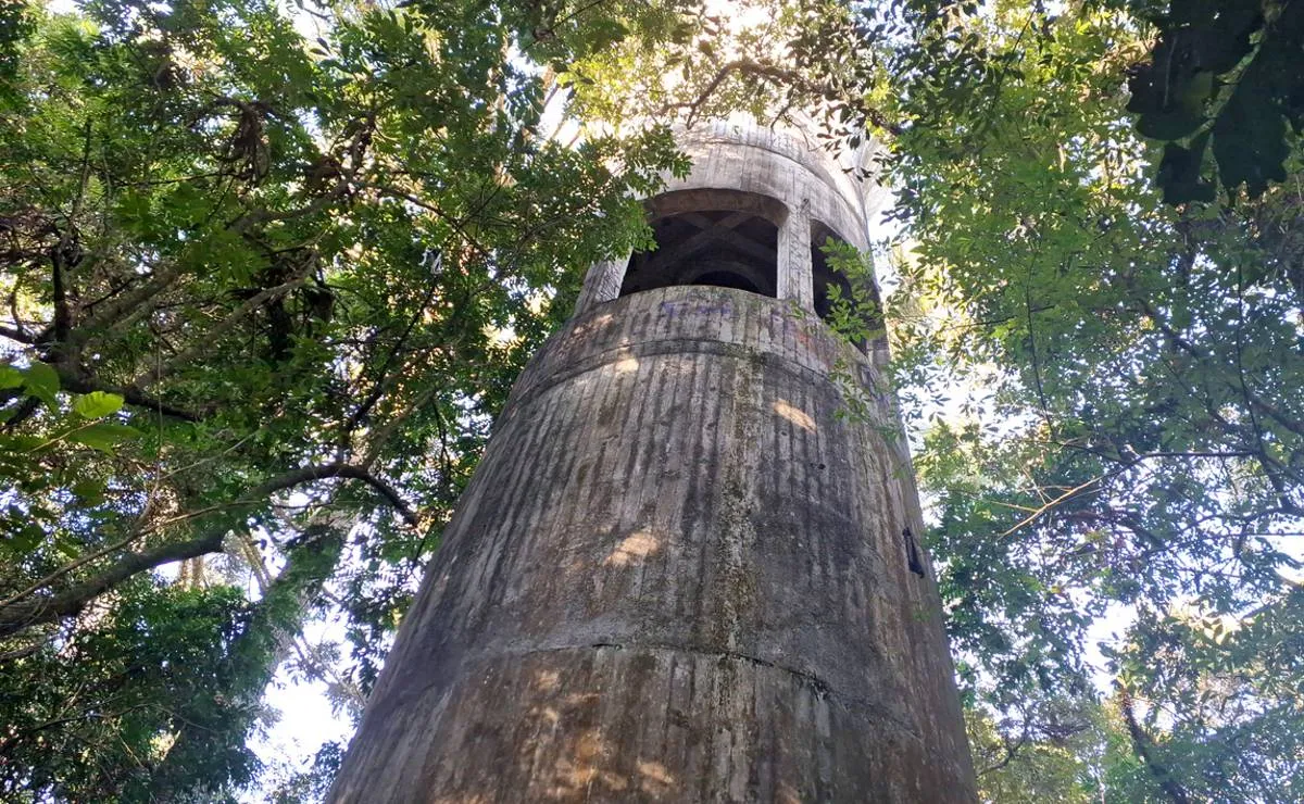 Imagem mostra detalhes de um mirante secreto no Parque Barigui, em Curitiba