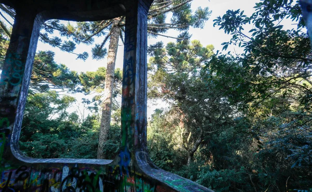 Imagem mostra detalhes de um mirante secreto no Parque Barigui, em Curitiba