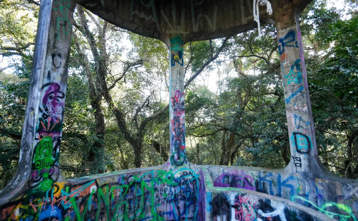 Imagem mostra detalhes de um mirante secreto no Parque Barigui, em Curitiba