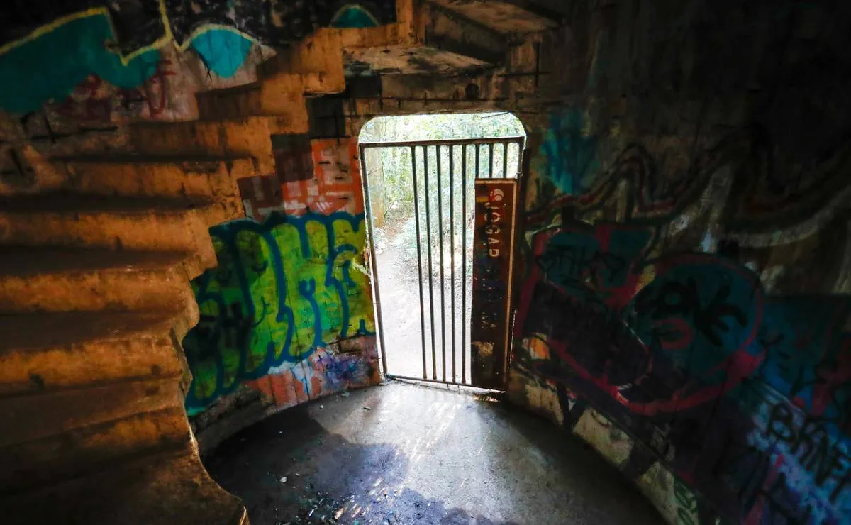 Imagem mostra detalhes de um mirante secreto no Parque Barigui, em Curitiba