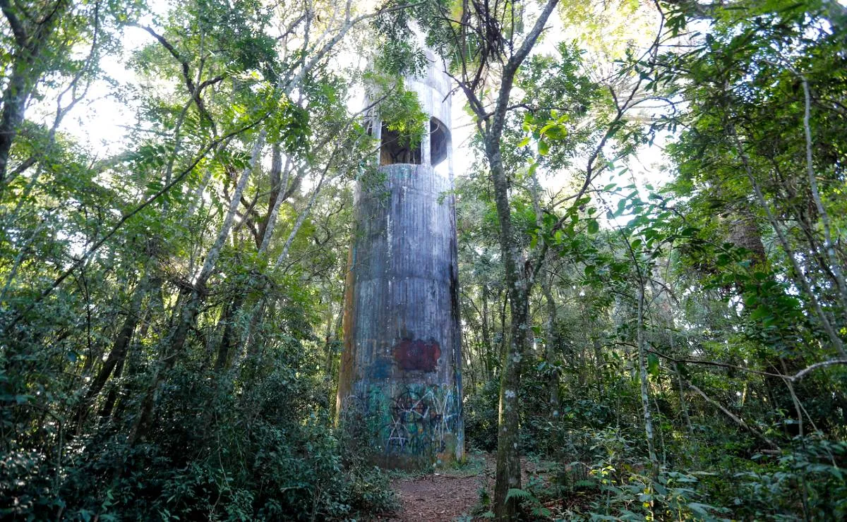 Imagem mostra detalhes de um mirante secreto no Parque Barigui, em Curitiba