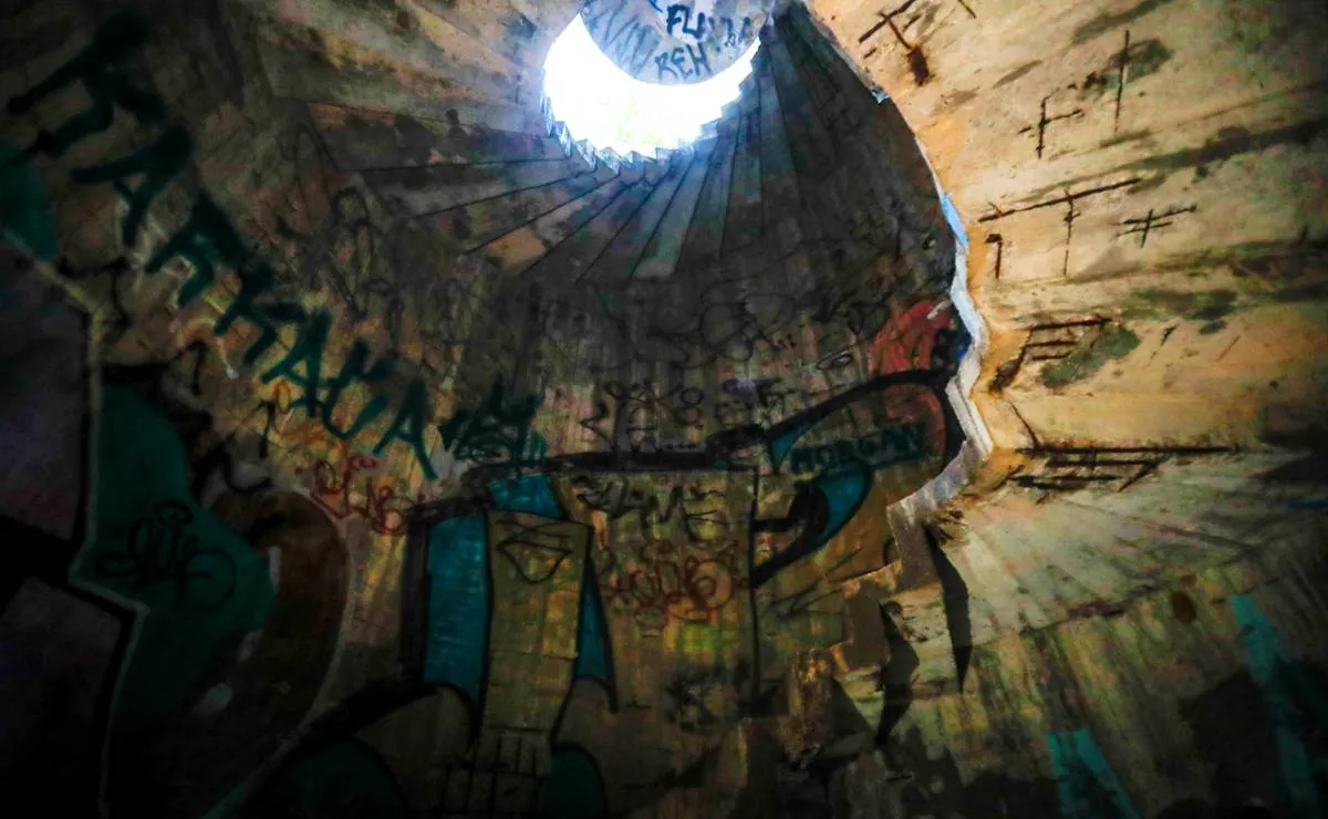 Imagem mostra detalhes de um mirante secreto no Parque Barigui, em Curitiba