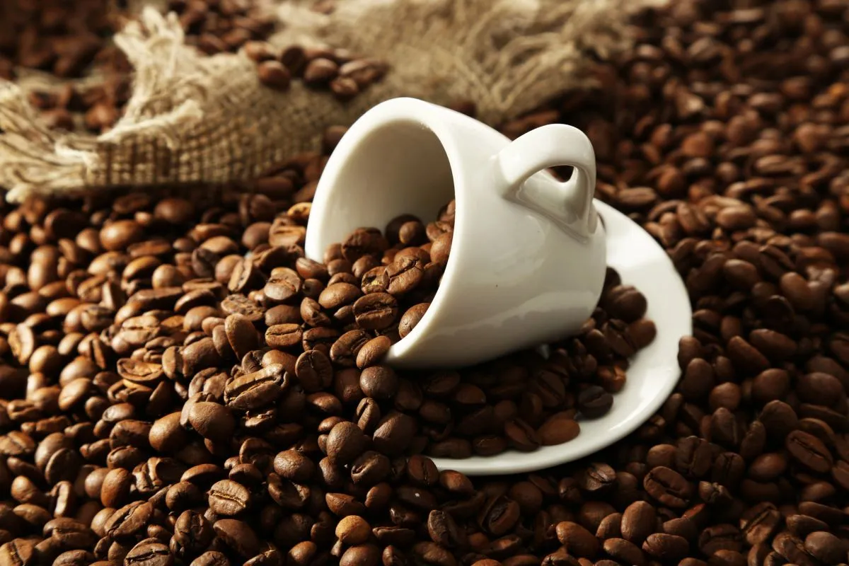 Imagem mostra uma xicara de café tombada com muitos grãs de café torrado espalhadas