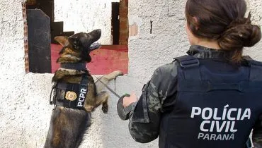 PCPR comemora 13 anos de atuação do Núcleo de Operações com Cães