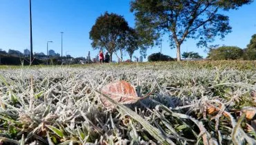 Imagem mostra geada no Parque Barigui, em Curitiba, Com pessoas andando no gramado branco de gelo.