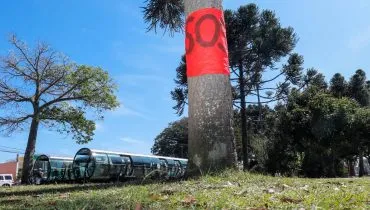 Imagem mostra um pinheiro com uma faixa vermelha escrito SOS. Ao fundo uma estação tubo de Curitiba.