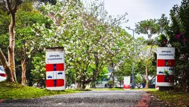 Liminar suspende imediatamente obra na Av. Arthur Bernardes