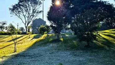 Imagem mostra geada em um morro de uma praça de Curitiba. Sol brilha ao fundo com geada na sombra.