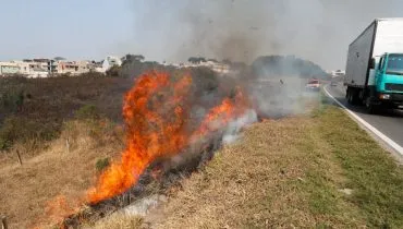 Labaredas em incêndio na vegetação ao lado de rodovia.