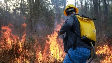 Alerta elevado de incêndio no Paraná: IAT emite aviso