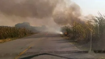 Incêndio atinge mata próxima a entrada do Zoológico de Curitiba