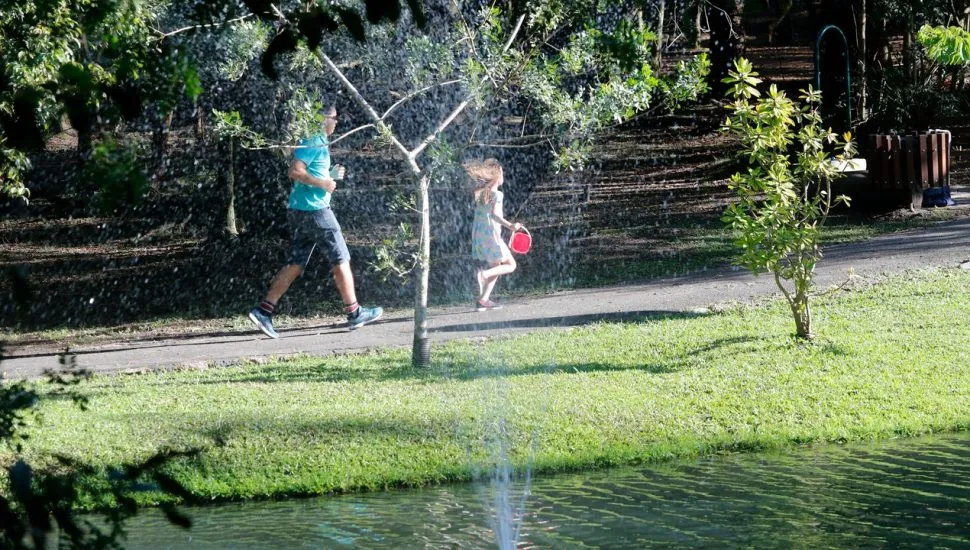 bosque em curitiba atila alberti